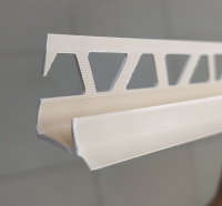 10 внутренний слоновая кость