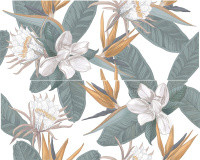 azori-calacatta-ivori-strelitzia-panno-iz-2-kh-plitok