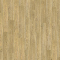 TH_VNAGT_EQUI_152X914-1000x1000