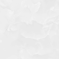 ico00