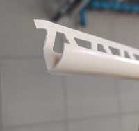 10 наружный слоновая кость