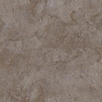 tyan_shan_bianor_127994_850700