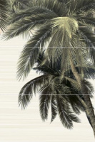 5858_full