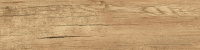 GP1560CHL31_01
