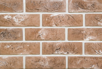 ae944fa84fed1e366bfd66378661332a