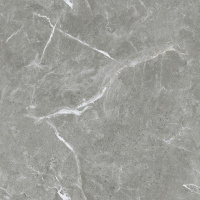 ceradim-stone-cool-grey-seryj-polirovannyj-60kh60