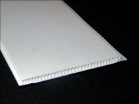 21524467_w640_h640_panel-pvh-belaya
