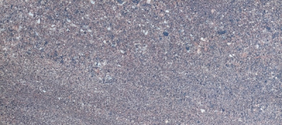 Ступень N 06 300*600