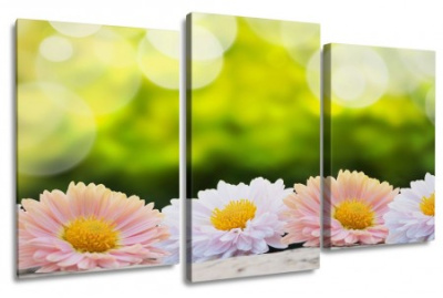 Модульная картина 816S 60х100см