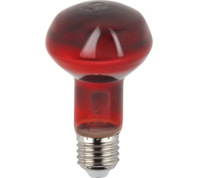 Лампа накаливания ИКЗК 60Вт 1614020