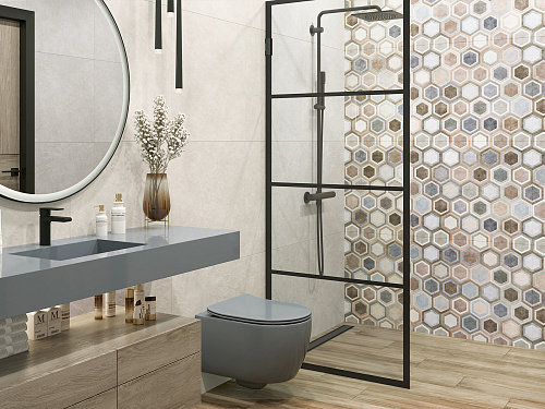 Evolution (Alma ceramica)