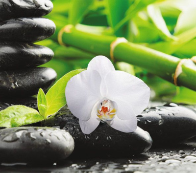 Фотообои Гармония (12л) VIP Тула