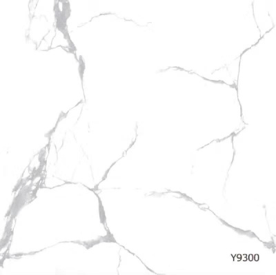 Керамогранит Diamond Ceramics Y9300 800*800 